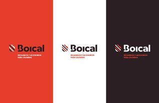 上海品牌策劃公司分享boical鍋爐及機械配件品牌形象策劃設計