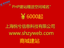 門戶網(wǎng)站建設(shè)